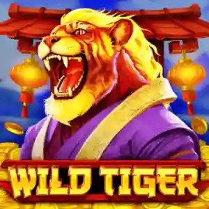 Play Wild Tiger slot by BGAMING on monro-de.de